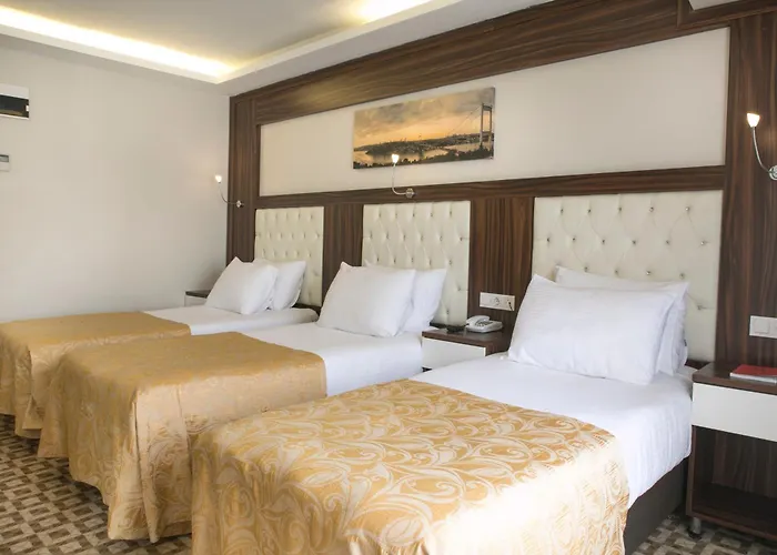 מלון Martinenz 3*